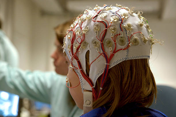 Perception, Cognition and Decision-making 